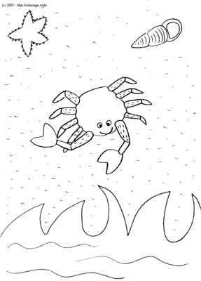 Crabe -- 20/07/07