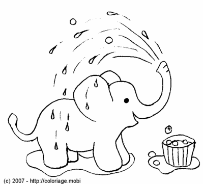 Un éléphant qui prend sa douche ! -- 01/05/07