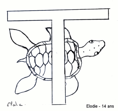 T comme Tortue - Elodie, 14 ans -- 16/09/07