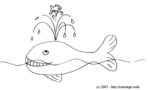 Une baleine qui joue avec un poisson -- 30/04/07