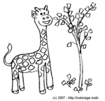 Une Girafe qui mange des feuilles -- 01/05/07